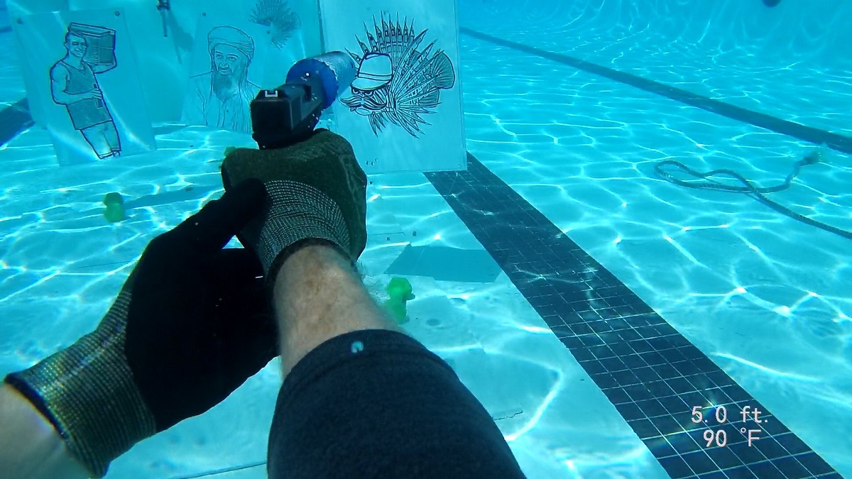 Zapping lionfish without thumping your eardrums | laststandonzombieisland