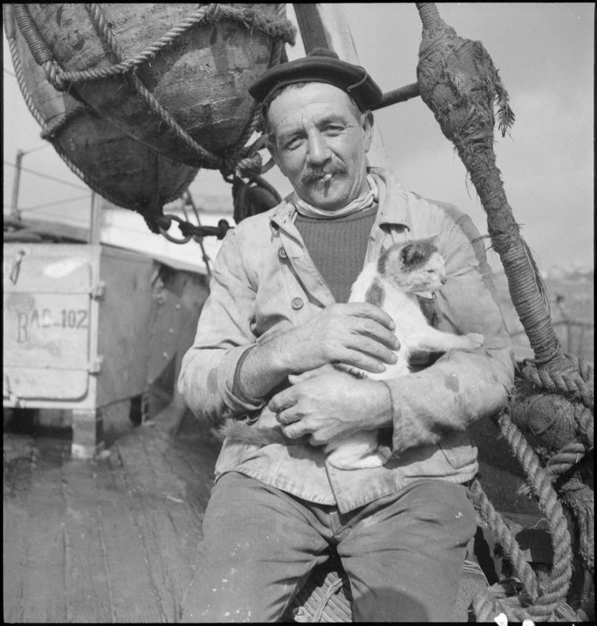 laststandonzombieisland | Weapons, Wars, Preparation and Security from ...